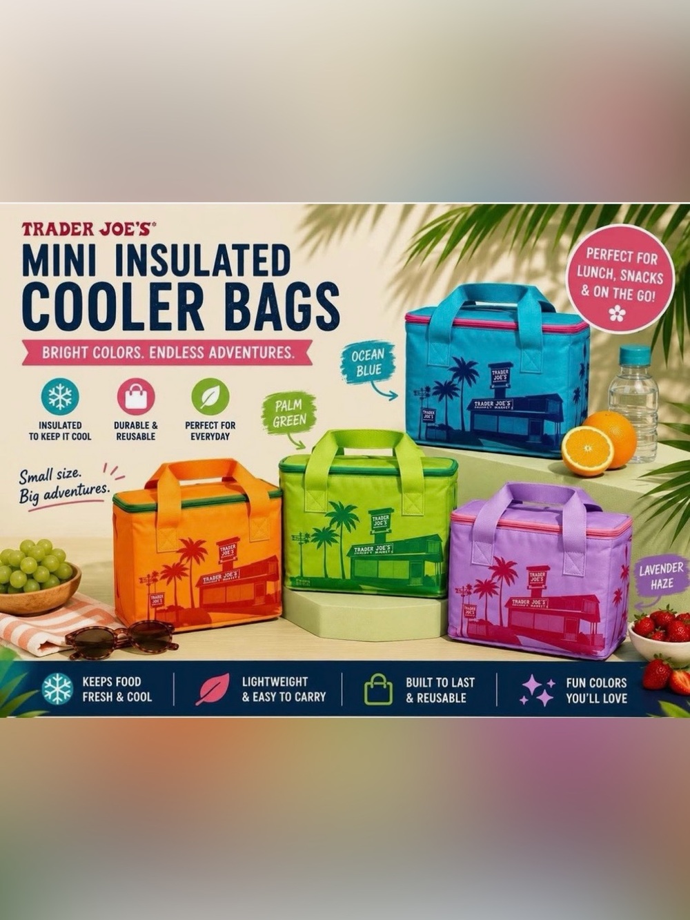 Trader Joe's Blue Insulated Mini Bag - Multi-use! Blue - Picture 4 of 5